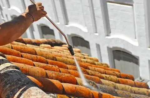 Nettoyage de toitures - Salt-en-Donzy